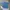 Dickies Biker Casual Casual shirt Pria blue photo 1