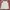 Aesthete Yourlife Lace Vest