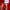 Manchester United F.C. 2013-14 Home Shirt photo 6
