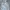 AeroStreet Minimalist Puffer jacket Pria multicolor photo 1
