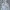AeroStreet Minimalist Puffer Jacket Pria Multicolor