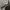 Vision Street Wear Sacoche Mini Shoulder Bag Pouch photo 2