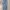 Levis 501 blue washed straight-leg jeans photo 1