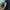 NIKE SWOOSH JOGGER PANTS photo 8