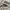 Vans KNU Skool Vault LX Devil White