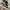 Vans KNU Skool Vault LX Devil White