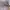 Oakley meta HSTN brown smoke smart glasses photo 6