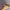 Oakley meta HSTN brown smoke smart glasses photo 3