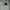 BURBERRY GOLF Pique Polo Shirt White photo 6
