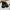Adidas Alphabounce 3 (triple black) ORI photo 2