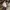 Y2k OMKOE Double Layered Veterano Shirt photo 5