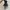 Dickies High-Top Martin Boots 'Versatile Black photo 5