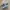 Nike ACG Moc 3.5 SE 'Dark Driftwood/Canyon Purple photo 2