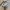 Vans AMZN Gore-Tex MTE-3 photo 3