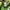 Montbell Gore-tex outdoor mountain jacket photo 10