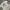 Legenda golden girls Rose Dorothy blanche Sophia Betty white photo 2