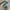 Saucony Trainer 80X photo 3