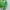 Abercrombie & Fitch Fairy Futurist Hoody Wanita green photo 2