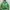 Abercrombie & Fitch Fairy Futurist Hoody Wanita green photo 1