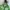 Abercrombie & Fitch Fairy Futurist Hoody Wanita green photo 3