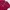 Puma x Maison Kitsune T-Shirt Maroon photo 3