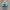 ASICS Gel Kahana 8 'Glacier Grey Grand Shark photo 5