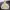 Mark Gonzales Streetwear Skater Hoody Pria cream photo 2