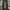Cargo parachute pants photo 4