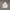 Hoodie Dickies Full Print photo 1