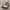 New Balance Sportswear Casual Sneakers Pria silver white photo 1
