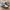 Onitsuka Tiger Casual Sneakers Pria white navy photo 1