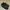 Adidas Coreracer (Brand new in box) photo 2