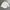 POLO RALPH LAUREN BABY OXFORD SHIRT photo 3