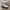 Onitsuka Tiger Casual Sneakers Pria white photo 1