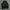 Reebok Vintage Sportswear Track jacket Pria black photo 2