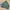 Jacket Harington Casual Olive Green photo 4