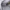 Uniqlo Streetwear Y2K Jeans Pria white photo 7