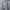 Hoodie Adidas Threfoil Center Logo Three Stripes photo 1