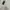 Cardigan Sweater Cable Knit | Polo Ralph Lauren photo 4
