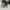 Gorpcore Casual Sneakers Pria white green photo 1