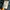 Canterbury Casual Tracksuit Pria blue photo 6