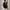 Karl Lagerfeld Choupette Cat Embroidery Top Black Oversize photo 2
