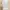 KOOKAÏ White High Neck Sleeveless Crop Top Mock Neck Origina photo 4