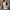 KOOKAÏ White High Neck Sleeveless Crop Top Mock Neck Origina photo 3