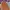 Vans Authentic OG 44 DX Anaheim Purple White photo 6