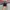 Vans Authentic Classic OG Black photo 4