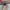 Vans Authentic Vault OG LX Gray White photo 4