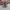 Vans Authentic Vault OG LX Gray White photo 5