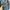 Oakley vintage icon 2.0 tactical backpack photo 7