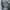 Oakley vintage icon 2.0 tactical backpack photo 4